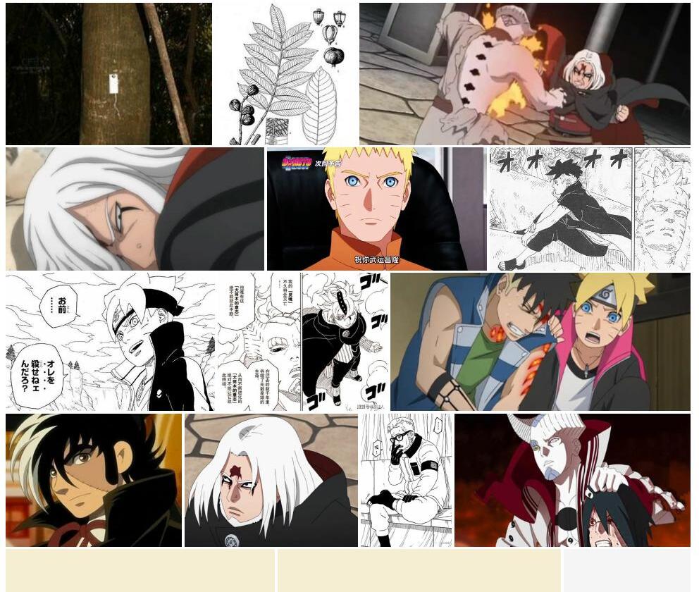 多脉樫木Dysoxylum-lukii图片