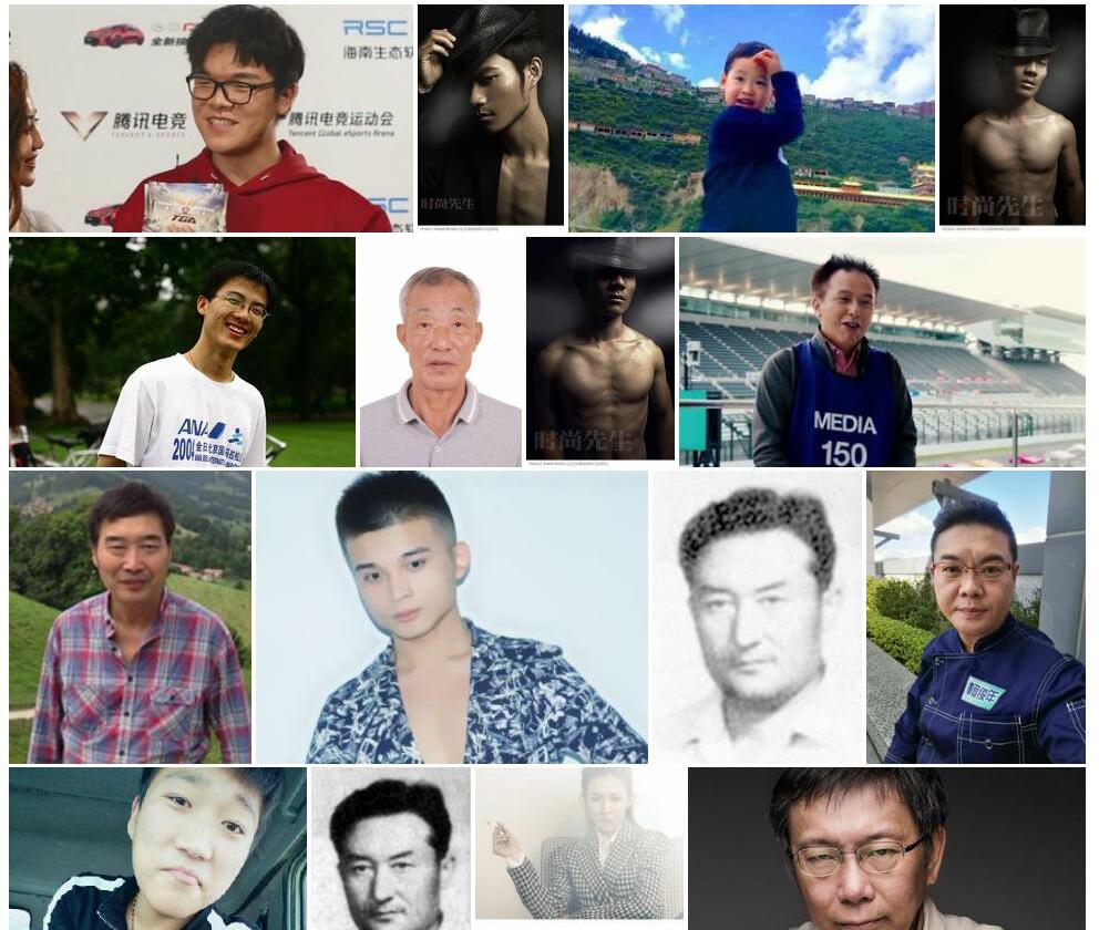 柯Lithocarpus-glaber图片