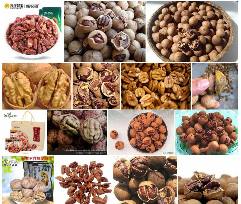 湖南山核桃Carya-hunanensis图片