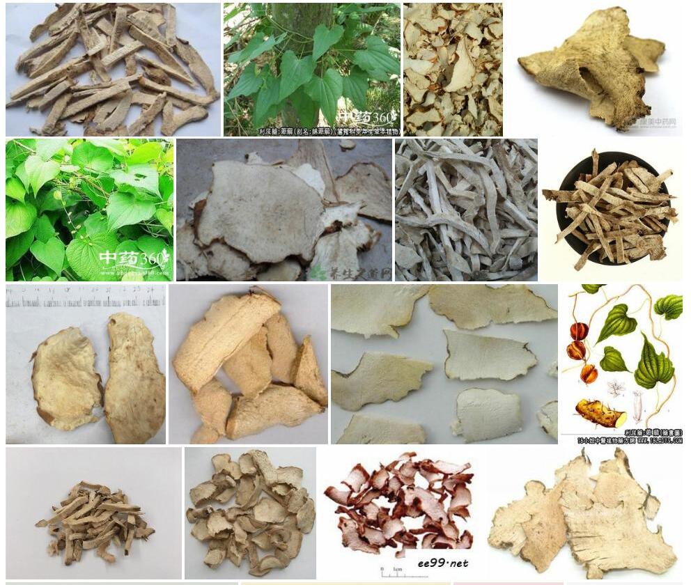 绵萆薢Dioscorea-septemloba图片