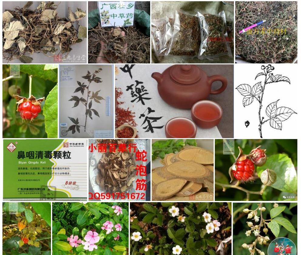 蛇泡筋Rubus-cochinchinensis图片